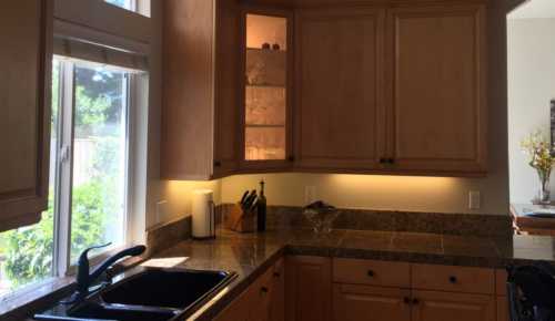 Expert Painting Services